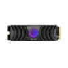 Picture of 1 TB Lexar® Professional NM1090 PCIe 5.0 SSD